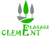 elagage-CLEMENT-Guercham-Elagage-54